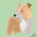 anthro bent_ear brown_body brown_fur chalk fur green_background hair looking_up male pose simple_background solo white_body white_fur orso_(artist) border_collie canid canine canis collie domestic_dog herding_dog mammal pastoral_dog sheepdog shaded