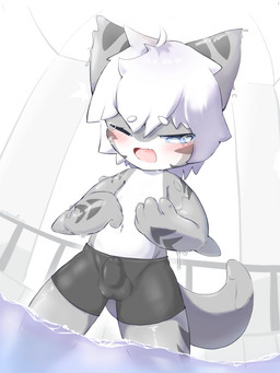 anthro black_bottomwear black_clothing blush bodily_fluids bottomwear bulge chibi clothed clothing detailed_bulge genital_outline genitals hair male open_mouth pants partially_submerged penis penis_outline shark_tail shorts shota solo spandex spandex_shorts tears tight_bottomwear tight_clothing tight_shorts tongue topless white_body white_hair young young_anthro cheesefries changed_(video_game) lin_(changed) tiger_shark_(changed) aquatic fish goo_creature mollusk shark 3:4 hi_res