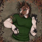 anthro clothed clothing domestic_pet feral group male shirt t-shirt topwear thehuntingwolf broderick_longshanks arachnid arthropod equid equine horse mammal mygalomorph pony scorpion spider tarantula 1:1 absurd_res hi_res