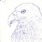 ambiguous_gender beak detailed_feathers feathers feral looking_at_viewer number simple_background solo white_background sogaroth inktober accipitrid accipitriform avian bird eagle 2022 blue_and_white bust_portrait detailed hi_res monochrome portrait