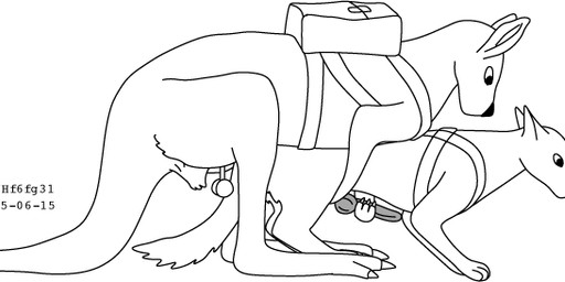 animal_genitalia animal_penis backpack backpack_only backpacking balls canine_genitalia canine_penis claws duo erection feral from_behind_position fur genitals interspecies jerking_off_another knot male male/male marsupial_penis mounting penis sex sheath simple_background size_difference tail white_background urbanhermit canid canine kangaroo macropod mammal marsupial 1985 black_and_white dated monochrome