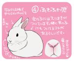 2015 dewlap_(anatomy) ichthy0stega japanese_text lagomorph leporid mammal rabbit simple_background text translated