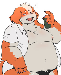 anthro belly big_belly blush can clothed clothing container drunk kemono male moobs nipples open_clothing open_shirt open_topwear overweight overweight_male shirt solo substance_intoxication topwear underwear dragon_night800 canid canine mammal 2022 hi_res