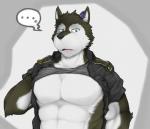 abs anthro biceps clothed clothing clothing_lift fur green_eyes kemono looking_at_viewer male multicolored_body multicolored_fur muscular muscular_anthro muscular_male obliques open_mouth pecs shirt shirt_lift solo topwear triceps white_body white_fur nazimi00 utau aro_rouon canid canine canis mammal wolf