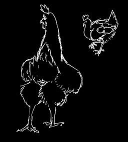 animal_genitalia beak bestiality claws cloaca cloacal cloacal_penetration duo feral genitals human_on_feral humanoid_genitalia humanoid_penis interspecies penetration penis wings x-ray_view einin avian bird chicken galliform human mammal phasianid 2026