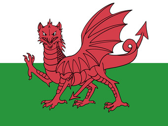 balls claws dragon_tail erection feral flag genitals looking_at_viewer male membrane_(anatomy) membranous_wings nude open_mouth penis pointy_penis raised_arm red_body scales side_view simple_background smile solo standing tail teeth wales what wings zw3 european_mythology mythology welsh_dragon dragon mythological_creature mythological_scalie scalie western_dragon hi_res