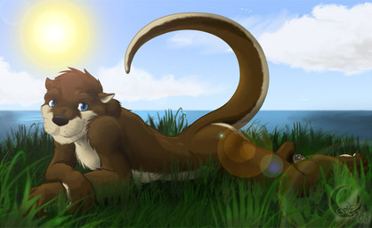 anthro biped blue_eyes brown_body brown_fur cloud crossed_arms feet fur grass hindpaw lake light looking_at_viewer lying male nude on_front outside paws plant sea sky solo sun sunlight tail water whiskers eclipticafusion mammal mustelid otter 2008