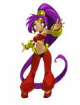 blue_eyes breasts clothing ear_piercing female hair humanoid_pointy_ears long_hair navel not_furry piercing pointy_ears ponytail purple_hair simple_background smile solo bleedman shantae_(series) wayforward shantae genie humanoid