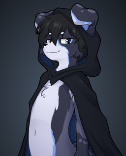anthro cloak clothing floppy_ears gradient_background heterochromia looking_at_viewer male simple_background smile smug snowdrift solo standing snowybark border_collie canid canine canis collie domestic_dog herding_dog mammal pastoral_dog sheepdog hi_res
