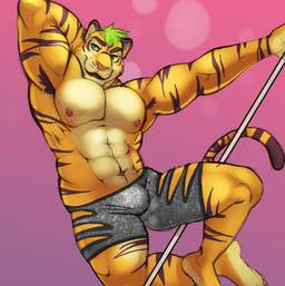 abs anthro armpit_hair biceps big_muscles body_hair bottomwear brown_body brown_fur bulge clothed clothing countershading dancing flexing fur green_eyes green_hair hair hand_behind_head looking_at_viewer male muscular muscular_anthro muscular_male navel nipples orange_body orange_fur pecs pink_nose pole pole_dancing shorts simple_background smile solo stripes stripper topless white_body white_fur zootopia_shorts horrorbuns disney zootopia tiger_dancer_(zootopia) felid mammal pantherine tiger