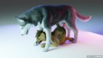 age_difference all_fours anal anal_penetration animal_genitalia animal_penis anthro anthro_on_feral anthro_penetrated balls bestiality butt canine_genitalia duo erection feral feral_penetrating feral_penetrating_anthro fur genitals hair intraspecies intraspecies_bestiality male male/male male_penetrated male_penetrating male_penetrating_male nude open_mouth penetration penis raised_tail realistic_feral sex size_difference smile tail young young_anthro young_feral young_male young_penetrated younger_male sergalrenders kip_smith_(sergalrenders) canid canine canis domestic_dog husky mammal nordic_sled_dog spitz 16:9 3d_(artwork) 4k absurd_res blender_(artwork) digital_media_(artwork) hi_res widescreen