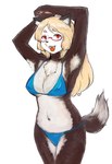 anthro armpit_hair belly big_breasts bikini black_ears blonde_hair blue_bikini blue_clothing blue_swimwear body_hair breasts brown_body brown_fur chest_tuft clothing dipstick_tail eyewear fangs female fur glasses hair inner_ear_fluff markings multicolored_body multicolored_fur navel open_mouth pawpads red_eyes red_eyewear red_glasses simple_background solo swimwear tail tail_markings teeth tongue tuft two-piece_swimsuit two_tone_body two_tone_fur white_armpit_hair white_background white_belly white_chest white_inner_ear_fluff white_tail_tip unumiseto futaba_channel akuma_gaoru gao-san canid canine canis mammal 2020