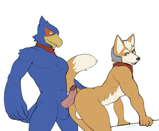 5_fingers anthro ascot athletic balls beak black_nose blue_balls blue_body blue_eyes blue_feathers doggystyle duo erection feathers fingers from_behind_position fur genitals green_eyes humanoid_genitalia humanoid_hands humanoid_penis male male/male multicolored_body multicolored_feathers multicolored_fur muscular muscular_male orange_body orange_fur penis penis_on_butt red_ascot red_body red_feathers sex simple_background smile tan_balls tan_body tan_fur two_tone_body two_tone_feathers two_tone_fur white_background yellow_beak jrjresq nintendo star_fox falco_lombardi fox_mccloud avian bird canid canine canis fox mammal hi_res