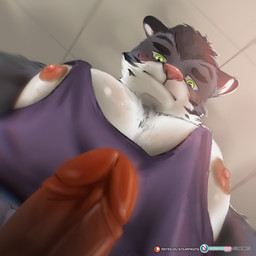 anthro big_muscles big_pecs black_hair blurred_foreground ceiling clothing fur genitals green_eyes hair huge_pecs humanoid_genitalia humanoid_penis lime_eyes low-angle_view male multicolored_body multicolored_fur muscular nervous nipples pecs penis pink_nose purple_clothing purple_shirt purple_tank_top purple_topwear selfie shirt solo tank_top topwear stampmats paradise edric(summer_paradise_fvn) felid mammal pantherine tiger 1:1 hi_res