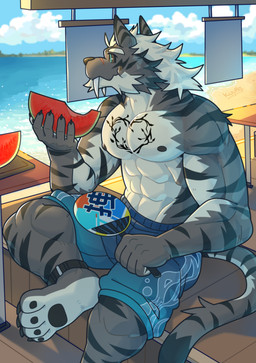 4_toes 5_fingers abs anthro beach biceps blue_bottomwear blue_clothing blue_shorts bottomwear clothed clothing day detailed_background feet fingers food fruit fur grey_body grey_fur hair male melon muscular muscular_anthro muscular_male nipples outside pawpads pecs plant sea seaside shorts sky solo tattoo toes topless topless_anthro topless_male water watermelon white_body white_fur white_hair kuulongarl mammal