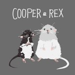 biped black_eyes black_nose duo feral grey_body simple_background text white_body you_miichi nairi_(series) cooper_(nairi) rex_(nairi) mammal murid murine rat rodent 1:1 2016 low_res