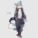 anthro clothed clothing collar hand_in_pocket jacket male pockets simple_background solo standing streetwear techwear topwear rinrinwolf canid canine canis mammal wolf 1:1 2023 absurd_res hi_res