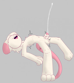 anthro balls blush bodily_fluids chest_tuft cum ears_back femboy foreskin genital_fluids genitals hair humanoid_genitalia humanoid_penis male orgasm penis pivoted_ears simple_background solo teeth tongue tuft niannn reggie_(whygena) mammal murid murine rat rodent hi_res