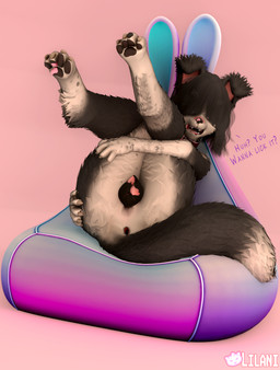 animal_genitalia animal_vulva anthro anus band-aid bandage bent_legs black_body black_fur braces canine_genitalia canine_vulva caption chair female floppy_ears fur furniture genitals hair hair_over_eyes holding_leg nude on_chair pawpads paws presenting presenting_vulva raising_legs simple_background sitting sitting_on_chair solo speech_bubble teeth text vulva whiskers white_body white_fur lilani pisspaws border_collie canid canine canis collie domestic_dog herding_dog mammal pastoral_dog sheepdog 3d_(artwork) absurd_res digital_media_(artwork) hi_res