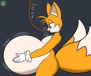 2_tails air_from_mouth air_inflation anthro belly belly_expansion belly_inflation big_belly black_background black_nose blue_eyes clothing creaking dipstick_tail expansion gloves hair hand_on_belly hand_on_own_belly handwear hose hose_in_mouth hose_inflation huge_belly inflation logo male markings motion_lines multi_tail multicolored_body onomatopoeia orange_body orange_ears orange_hair orange_tail puffed_cheeks simple_background sound_effects swelling tail tail_markings text two_tone_body white_body white_clothing white_gloves white_handwear white_inner_ear white_tail_tip zerofox354 sega sonic_the_hedgehog_(series) miles_prower canid canine fox mammal 2025 absurd_res artist_logo colored digital_media_(artwork) hi_res shaded