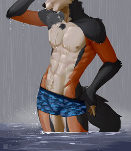 abs anthro athletic athletic_male body_hair boxer_briefs boxer_briefs_only bulge clothed clothing clothing_pull happy_trail male partially_submerged pecs raining solo standing standing_in_water topless underwear underwear_only underwear_pull water wet ashary nhox canid canine mammal maned_wolf hi_res