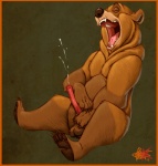 balls bear big_penis brother_bear chubby cum cumshot disney erection eyes_closed feral fur grizzly_bear kenai klaus_doberman male masturbation nude orgasm penis solo ursine_penis
Rating: Explicit
Score: 14
User: toboe
Date: October 28, 2012