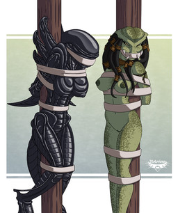 alien alien_(franchise) arms_tied big_breasts bound breasts duo female humanoid looking_at_viewer nipples notorious84 nude predator_(franchise) pussy xenomorph yautja
Rating: Explicit
Score: 26
User: TheHuskyK9
Date: February 18, 2013 alien alien_(franchise) arms_tied big_breasts bound breasts duo female humanoid looking_at_viewer nipples notorious84 nude predator_(franchise) pussy xenomorph yautja
Rating: Explicit
Score: 26
User: TheHuskyK9
Date: February 18, 2013