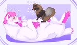 animal_genitalia animal_pussy balls blush bodily_fluids canine_genitalia canine_pussy cowgirl_position duo erection female female_penetrated feral feral_on_feral feral_penetrated feral_penetrating feral_penetrating_feral from_front_position fur genital_fluids genitals interspecies knot knotted_penis large_penetration male male/female male_penetrating male_penetrating_female nude on_bottom on_top open_mouth pawpads paws penetration penile penile_penetration penis pussy sex size_difference smile tail tongue tongue_out vaginal vaginal_penetration pariahpuppy bryn_(polar_bear) korwin bear canid canine canis domestic_dog mammal polar_bear pomeranian spitz ursine hi_res