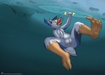 anthro antoreakk asphyxiation avian bird bubble drowning feathers feet female genitals hi_res ice out_of_breath panicking pela_(dragontear) penguin pussy solo tail tail_feathers text trapped underwater url water