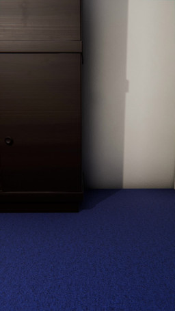 5_toes anthro barefoot feet foot_fetish foot_focus foot_shot male soles solo toes feetymcfoot paw_day sega sonic_the_hedgehog_(series) fan_character leo_(feetymcfoot) domestic_cat felid feline felis mammal 3d_(artwork) 3d_animation 9:16 animated digital_media_(artwork) hi_res huge_filesize long_playtime no_sound video