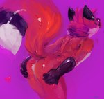 anthro biped black_body black_ears black_fur black_tail butt cheek_tuft facial_tuft fur glistening glistening_arms glistening_butt glistening_ears glistening_nose glistening_tail hair heart_symbol male neck_tuft obscured_eyes pink_background presenting presenting_hindquarters red_body red_ears red_fur red_hair red_tail short_hair simple_background solo standing tail three-quarter_view tuft white_body white_fur white_tail oselotti duncan_(oselotti) canid canine fox mammal hi_res signature