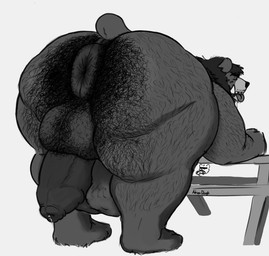 anthro anus backsack balls bent_over big_balls big_penis bodily_fluids body_hair body_outline butt_hair drooling duo foreskin furniture genital_fluids genitals hairy huge_penis hyper hyper_genitalia hyper_penis looking_back male male/male overweight overweight_male penis picnic_table precum pubes pubes_in_ass puffy_anus saliva short_tail size_difference table tail tongue tongue_out tusks vore adrian_dough bear_(adriandough) bear hyena mammal hi_res monochrome