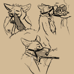 airplane_ears animal_genitalia animal_penis anthro balls bdsm blep bodily_fluids bondage bound breasts canine_genitalia canine_penis collar cum cum_in_throat cum_inside dominant dominant_male drooling duo ears_back fellatio female finger_under_chin forced forced_oral genital_fluids genitals halter heart_tag knotting leash leash_pull male male/female medium_breasts nose_lick nude nude_female onomatopoeia oral oral_knotting oral_penetration penetration penile penis penis_in_mouth penis_on_face pivoted_ears saliva sex sheath snapped_straps sound_effects submissive submissive_female teary_eyes text tongue tongue_on_penis tongue_out x-ray_view mangomutt canid canine corsac_fox fox mammal true_fox 1:1 hi_res