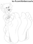 5_toes anthro barefoot biped bottomwear clothed clothed_anthro clothed_male clothing crossed_arms eyebrows feet foot_focus fur hair hoodie humanoid_feet inner_ear_fluff looking_at_viewer male pants plantigrade sitting smile soles solo teeth toes topwear tuft kimberco canid canine fox mammal 2021 hi_res