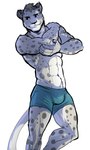 5_fingers abs anthro blue_clothing blue_underwear boxer_briefs bulge clothing fingers fur grey_body grey_fur male markings muscular muscular_anthro muscular_male navel simple_background solo spots spotted_body spotted_fur underwear white_background mtraon felid mammal pantherine snow_leopard 2018