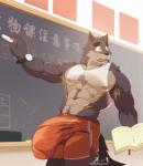 2016 abs absurd_res acah_orange anthro armpit_hair athletic athletic_anthro athletic_male biceps big_bulge blush bodily_fluids body_hair book bottomwear bulge canid canine chalk chalkboard chest_tuft chinese chinese_text classroom clock clothed clothing detailed_bulge digital_media_(artwork) embarrassed english_text eyewear fully_clothed fur genital_outline glasses hi_res holding_chalk huge_bulge hyper hyper_bulge information_board inside male mammal nipples open_mouth orange_bottomwear orange_clothing orange_shorts pecs penis_outline public quads school shaded sharp_teeth shirt shorts signature skimpy smile solo standing sweat tank_top teeth text topwear translucent translucent_clothing tuft watch wristwatch