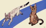 black_body black_fur brown_body brown_eyes brown_fur brown_nose duo feral fur looking_at_viewer pink_nose running sitting whiskers white_body white_fur pawgyle domestic_cat felid feline felis mammal absurd_res hi_res sketch