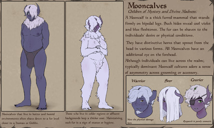 3_eyes 5_toes ambiguous_gender anthro areola beard blue_body blush bottomwear brown_eyes clothed clothing curvy_figure dark_areola eye_patch eyewear facial_hair fantasy feet female fluffy fur green_eyes group hair hair_over_eye horn loincloth loincloth_only lore male multi_eye muscular muscular_male parchment partially_clothed standing text toes topless white_body white_fur wide_hips bklocom horned_humanoid humanoid mooncalf_(sindri_myr) 5:3 english_text hi_res model_sheet