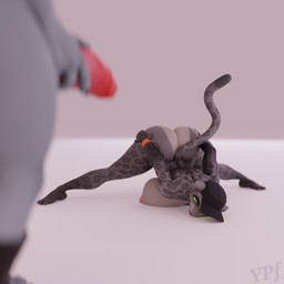 anthro ass_up athletic athletic_anthro athletic_female barefoot big_breasts big_butt big_penis blue_eyes blurred_character blurred_foreground bracelet breast_squish breasts bubble_butt butt butt_grab clothing duo faceless_anthro faceless_character faceless_male feet female fur genitals green_eyes grey_body grey_fur half-closed_eyes hand_on_butt hat headgear headwear holding_penis humanoid_genitalia humanoid_penis imminent_sex jack-o'_pose jewelry legwear looking_at_another lying male male/female markings muscular muscular_female narrowed_eyes nipples nude on_front on_ground penis penis_grab pose raised_tail reaching_back simple_background spots spotted_body spotted_fur spotted_markings squish tail thick_thighs yourperfectionist valorlynz_(modeler) dreamworks puss_in_boots_(franchise) the_bad_guys death_(puss_in_boots) kitty_kat_(the_bad_guys) canid canine canis felid feline mammal pantherine snow_leopard wolf 1:1 3d_(artwork) crossover digital_media_(artwork) hi_res