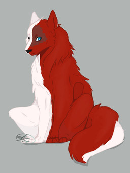 ambiguous_gender black_nose facial_scar feral feralized fluffy fur heterochromia multicolored_body multicolored_fur red_body red_fur scar sitting solo two_tone_body two_tone_fur white_body white_fur ace-of-wolvz my_hero_academia todoroki_shouto canid canine canis mammal wolf 2019 3:4 signature