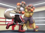 anthro boxing_gloves clothing duo fighting_ring handwear male geodani canid canine canis chimera mammal wolf hi_res