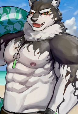 abs anthro barazoku beach biceps fur green_eyes kemono male multicolored_body multicolored_fur muscular muscular_anthro muscular_male nipples pecs red_sclera solo mochi_da6 lifewonders live_a_hero monomasa canid canine canis domestic_dog husky mammal nordic_sled_dog spitz absurd_res hi_res