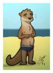 anthro beach black_clothing black_underwear blush briefs brown_body brown_fur brown_nose bulge clothed clothing detailed_background detailed_bulge embarrassed erection fur genital_outline genitals male navel nipples outside penis penis_outline sand seaside sky solo standing topless underwear water fudatsu mammal mustelid otter