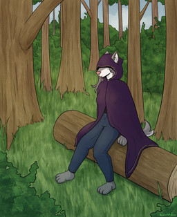anthro black_clothing black_shirt black_topwear blue_bottomwear blue_clothing blue_eyes blue_jeans blue_pants bottomwear cloak clothing covered_eyes denim denim_bottomwear denim_clothing female forest fur grey_body grey_fur grey_hair hair jeans log long_hair looking_at_viewer outside pants pink_nose plant purple_clothing shirt sitting solo t-shirt tongue tongue_out topwear tree white_body white_fur wood hatofuldeer canid canine canis cheetah felid feline mammal wolf absurd_res digital_media_(artwork) hi_res