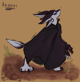 3_fingers 3_toes 4_ears ambiguous_gender anthro biped black_body black_claws black_cloak black_clothing black_feathers black_finger_claws black_fur black_toe_claws cape cape_only claws cloak cloak_only clothed clothing countershading digitigrade emanata feathers feet finger_claws fingers fur grass hair looking_at_viewer mostly_nude mouthless multi_ear multicolored_body outside pawpads paws pink_pawpads plant purple_eyes simple_background solo tail text toes topwear tuft white_body white_feathers white_fur yellow_background kestrel_(artist) fyr_(fenrir784) avali avian bird 2025 colored digital_drawing_(artwork) digital_media_(artwork) english_text hi_res shaded signature simple_shading