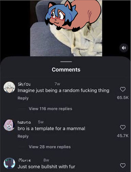 :3 alternate_species blue_hair brown_body brown_fur facial_markings female feral feralized fur gloves_(marking) hair head_markings humor markings mask_(marking) mocking profanity shitpost social_media solo text chaotic_crisu brand_new_animal bullshit_with_fur studio_trigger marie_itami michiru_kagemori nazuna_hiwatashi shirou_ogami hyrax mammal 2026 digital_media_(artwork) draw_over english_text firealpaca_(artwork) hi_res meme