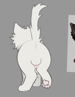 anus backsack balls butt cheek_tuft facial_tuft feral fluffy fluffy_tail fur genitals grey_background male pawpads paws penis quadruped rear_view simple_background solo tail tuft white_body white_fur littleperrito warriors_(book_series) fan_character sealfluff_(littleperrito) domestic_cat felid feline felis mammal 2026 full-length_portrait greyscale hi_res monochrome portrait shaded