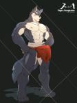 2019 3:4 abs absurd_res acah_orange anthro asian_clothing biceps bottomwear canid canine canis clothed clothing digital_media_(artwork) east_asian_clothing erection erection_under_clothing fundoshi fur hi_res japanese_clothing loincloth male mammal muscular muscular_anthro muscular_male nipples pecs solo underwear wolf