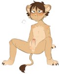 anthro anus balls brown_hair fur genitals glans hair humanoid_genitalia humanoid_penis male penis simple_background solo spread_legs spreading tail tail_tuft tan_body tan_fur tuft white_background young young_anthro young_male freckledcoat felid lion mammal pantherine hi_res