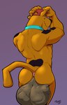 abdominal_bulge anthro anus balls big_balls butt clothing cock_vore collar fur genitals hat headgear headwear looking_back male mostly_nude nude penile penis raised_tail rear_view smile smirk solo tail vore pandottermon hanna-barbera scooby-doo_(series) scooby-doo canid canine canis domestic_dog great_dane mammal mastiff molosser 2024 hi_res signature